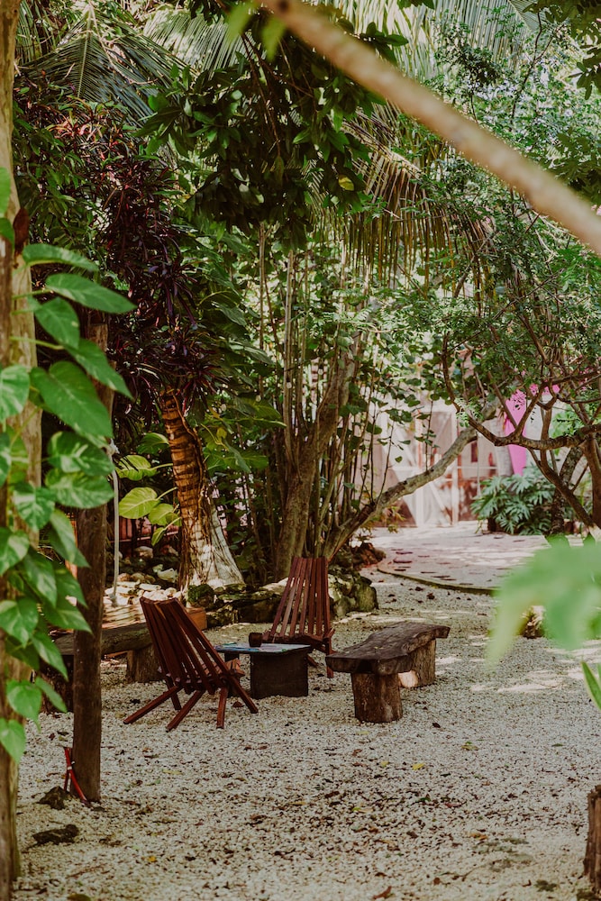 La Negrita Hotel - Adults Only