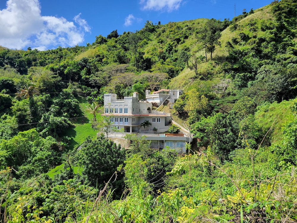 Villa Gringo Farms - Property Image 11