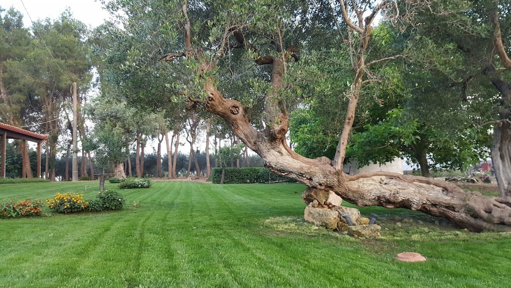Tenuta Cavalieri