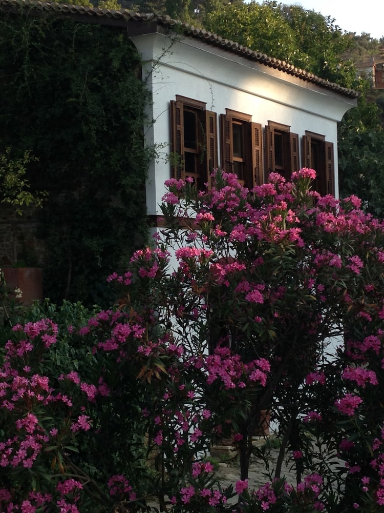 Terrace Houses Sirince - Fig, Olive Clockmakers and Grapevine