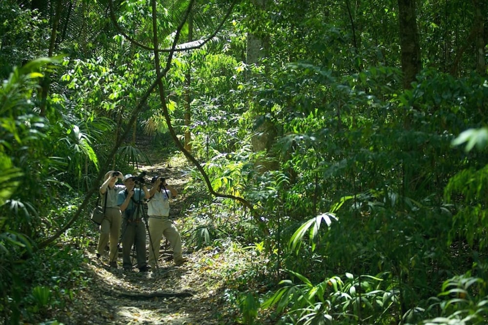 Chan Chich Lodge