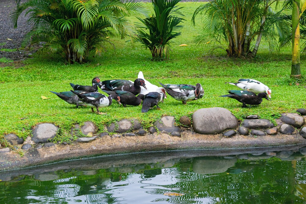 Los Lagos Casas de Campo