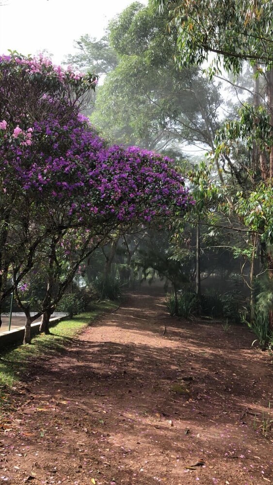 Pousada Lambari Montanha Hotel