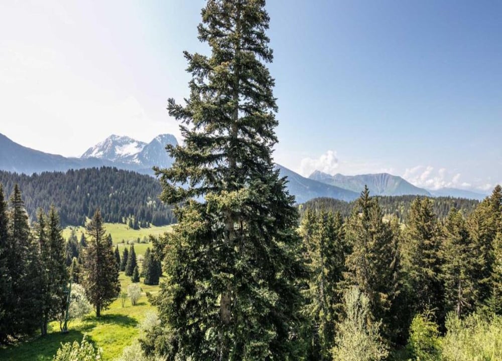 Family Escape in the Alps