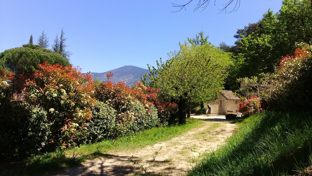 Mas de Cocagne en Provence