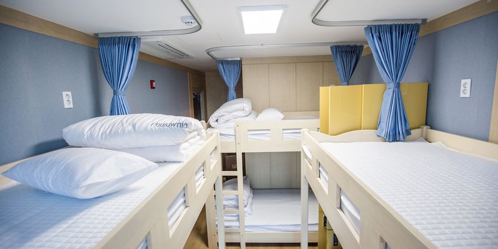 Paulownia Hostel & Guest House