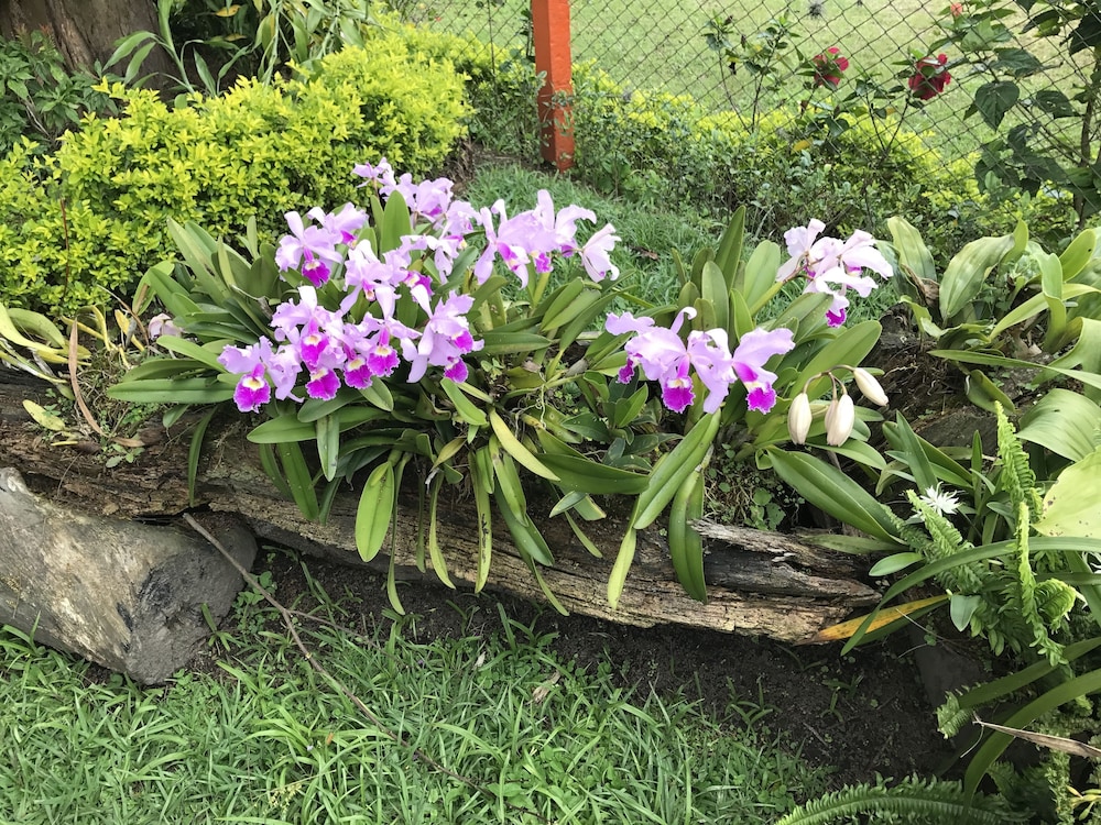 Finca Hotel La Rivera