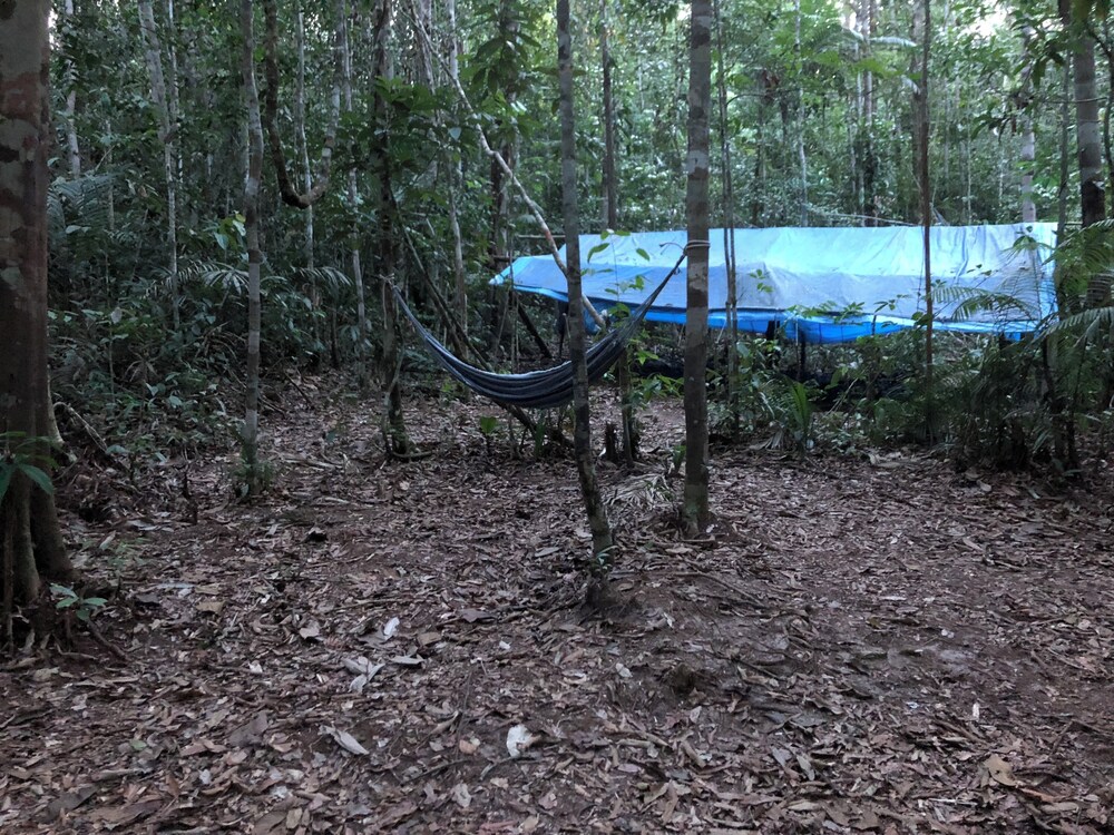 Curupira Amazon Lodge