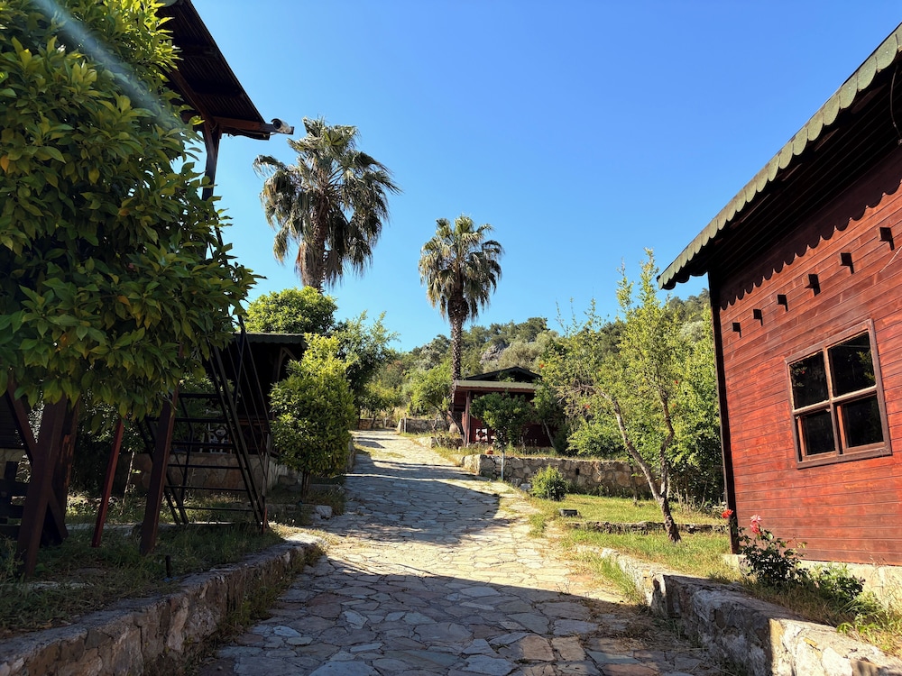 Olympos Talara