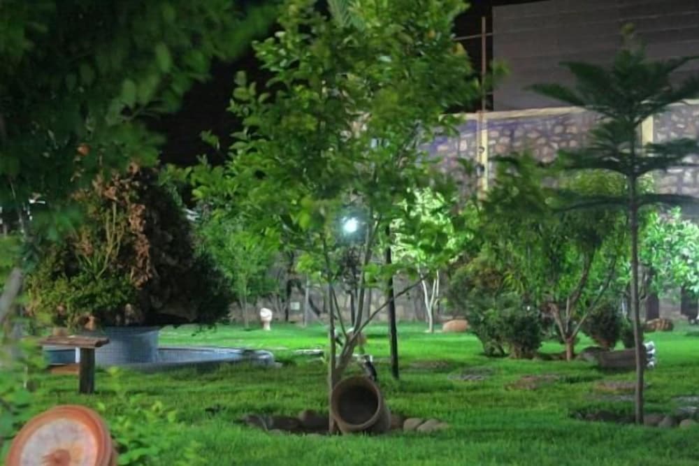 Photo 22