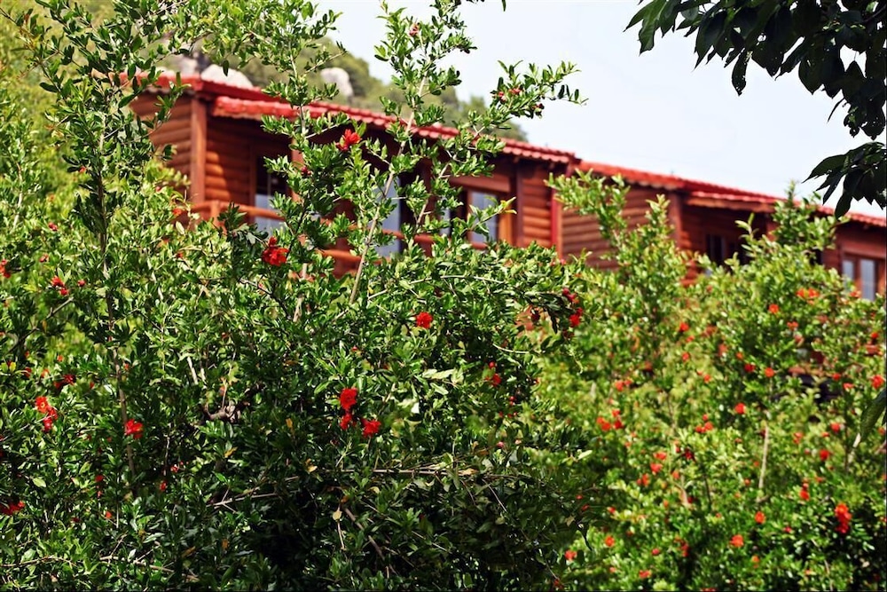 Kas Dogapark Otel - Image 68