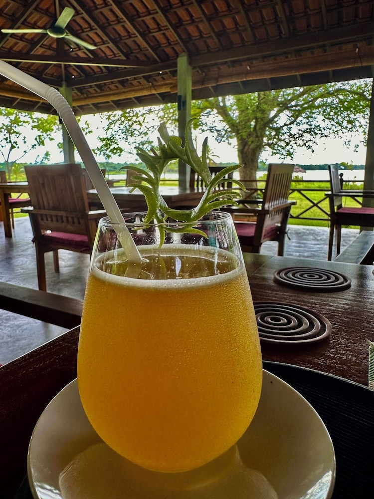 Gal Oya Lake Club