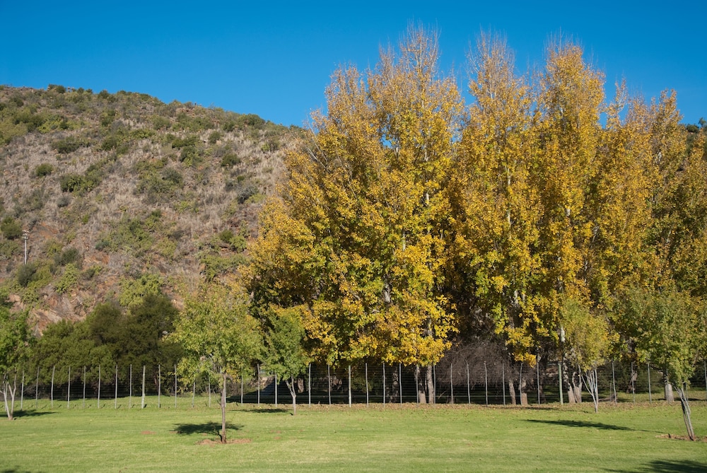 Old Mill Lodge, Working Ostrich Farm & Restaurant, Oudtshoorn
