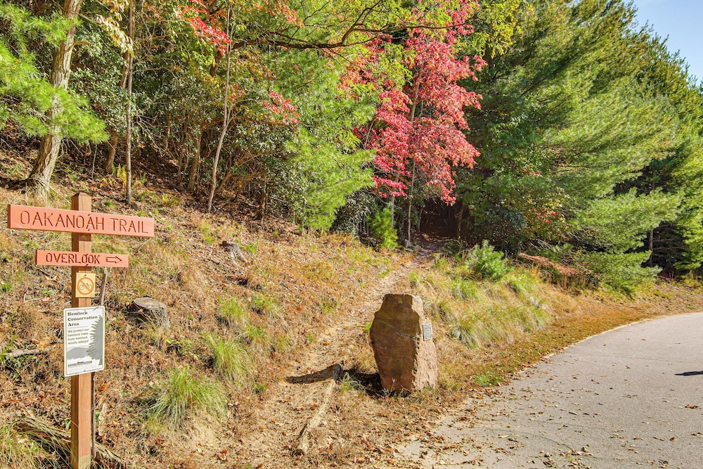 Festive Lakefront Escape: Blue Ridge Holiday Home
