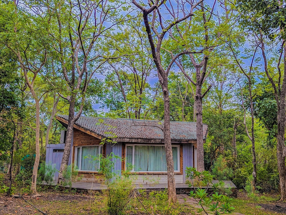 Syna Jungle Resort - Shahdar