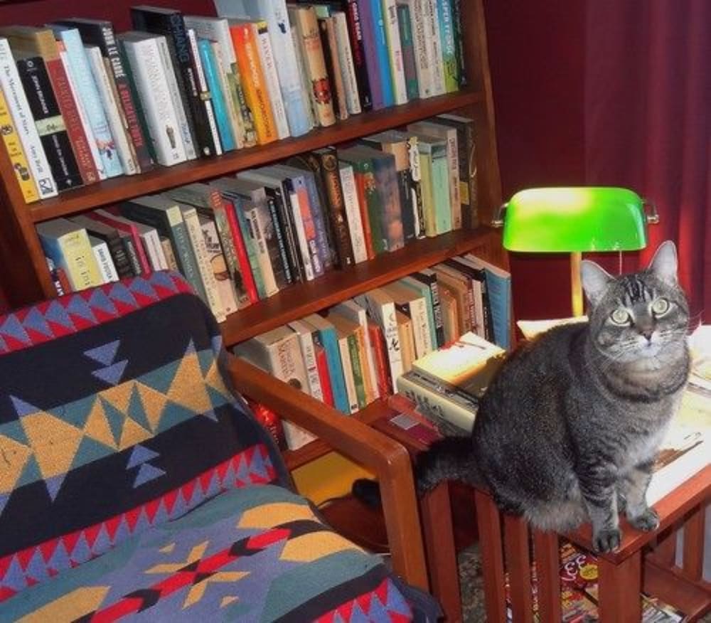 Brattleboro Vacations - The One Cat BB - Property Image 11