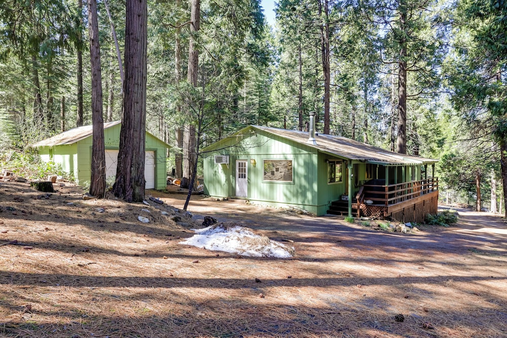 Stay Near Big Trees, Bring Your Pets: Arnold Cabin