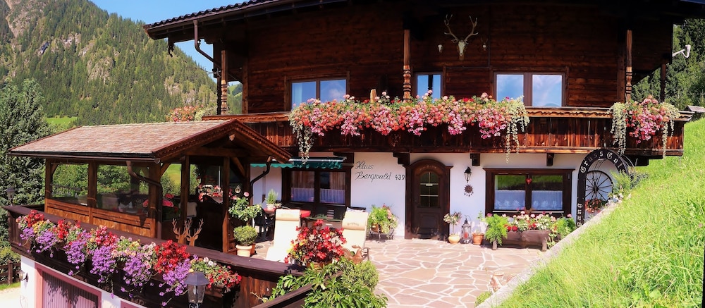 Alpbach Bergwald