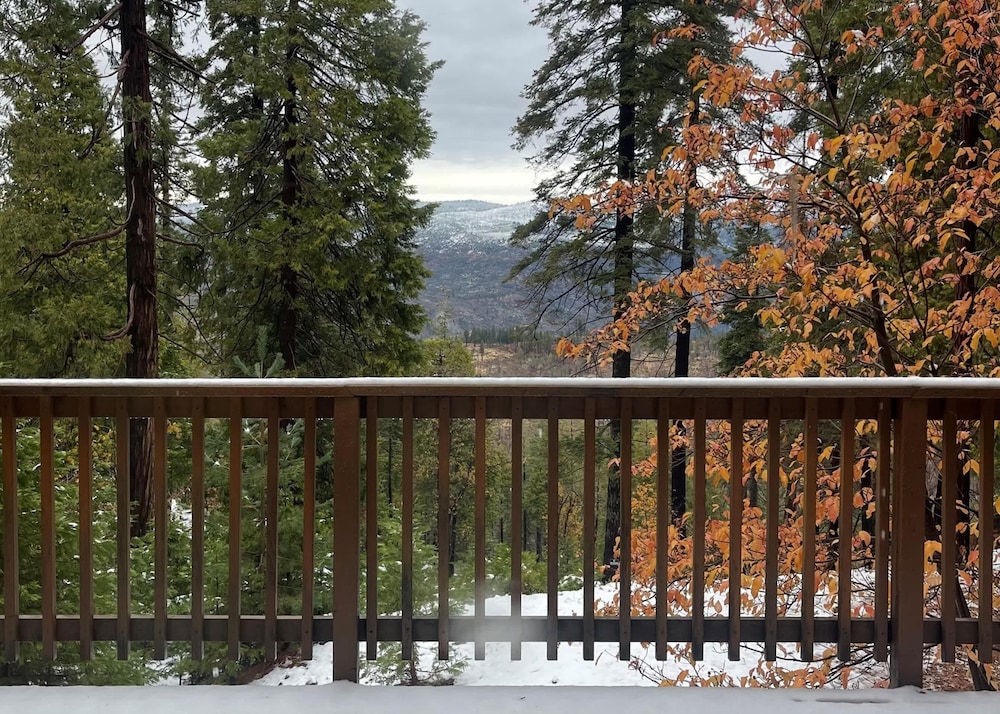 Yosemite Quail - Nestled in With a View!