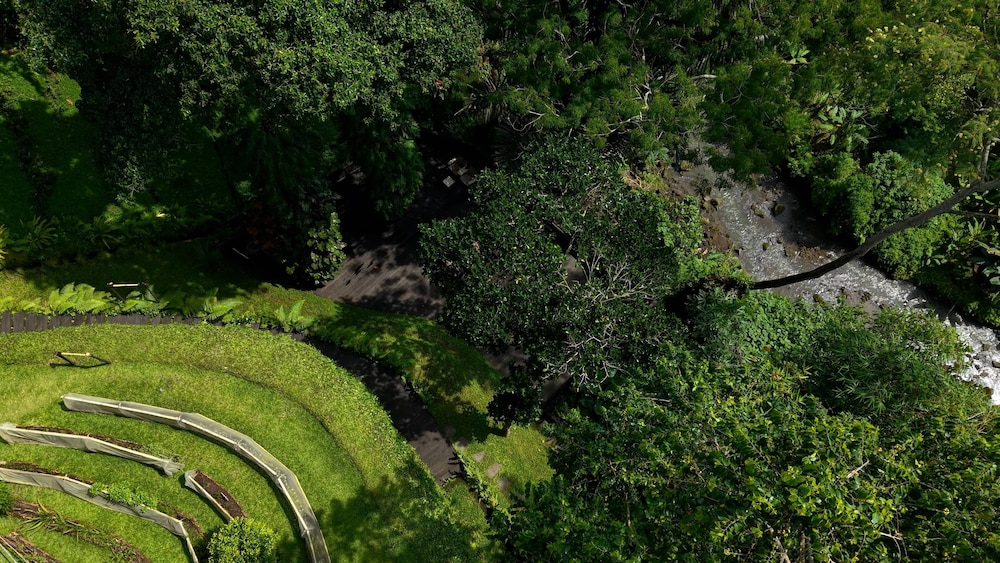 Sumeru Botanical Estate