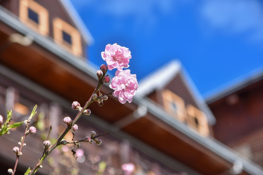 Beverly B&B, fotografía 4