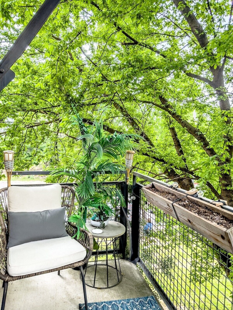 Lamar Treehouse