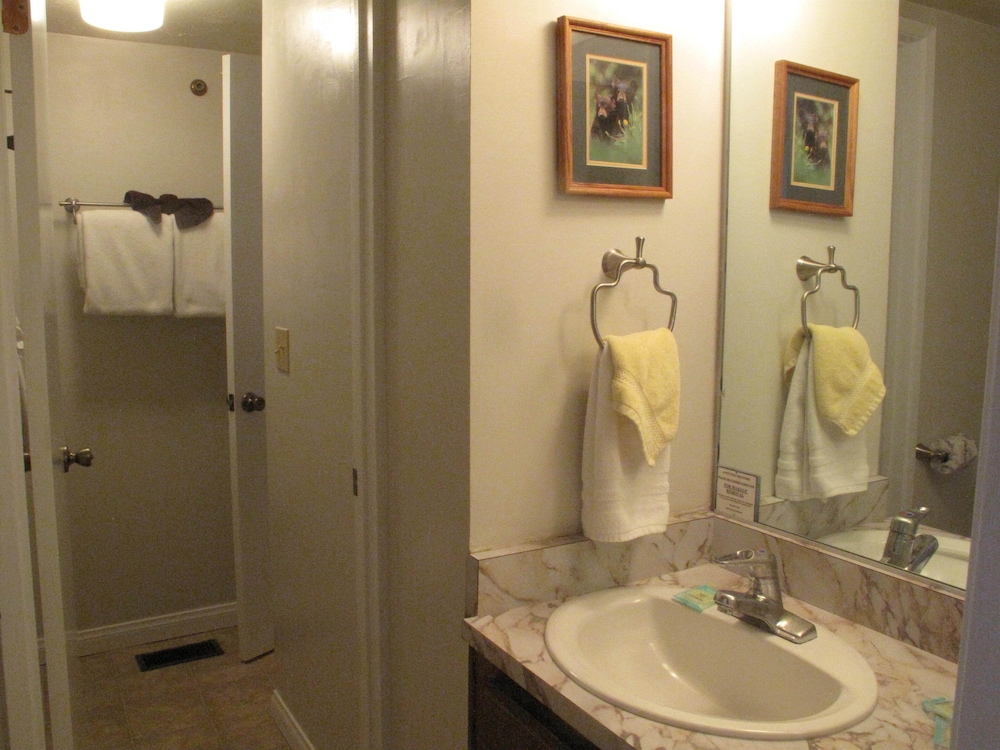 Snow Summit Townhouse Rentals & Sales