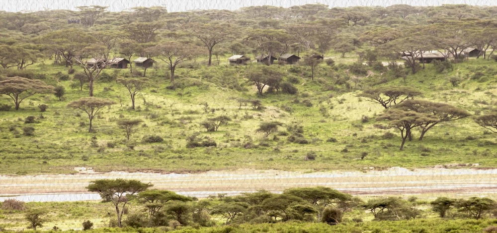 The Royal Migration Camp view 5