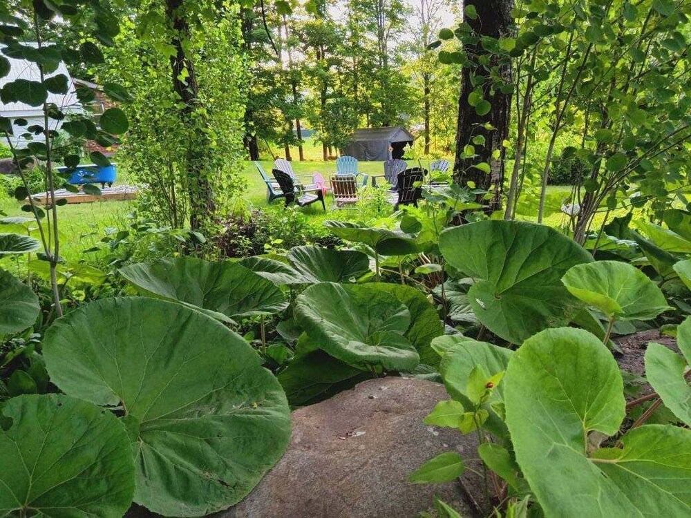 10 Mi To Gore Mountain: Home In Adirondack Park 5 Bedroom Home
