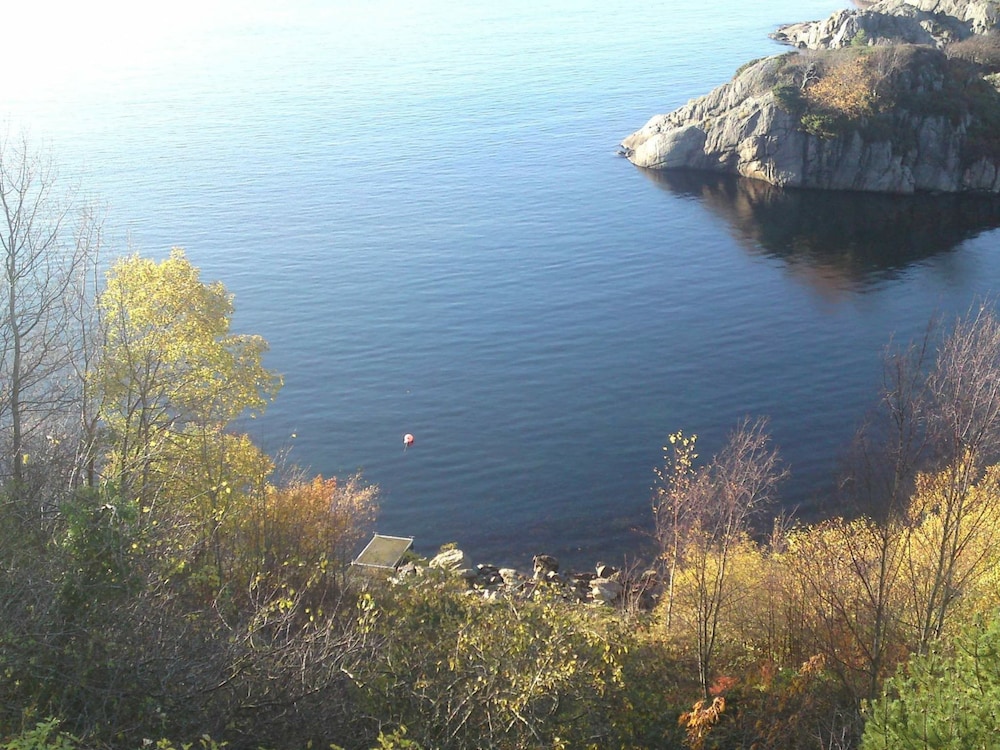 Photo 21