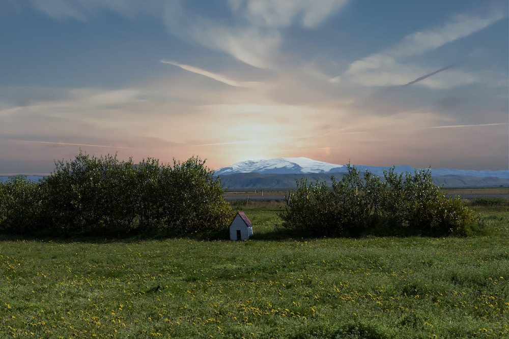 Photo 44