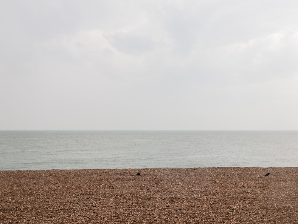 Fairlight View