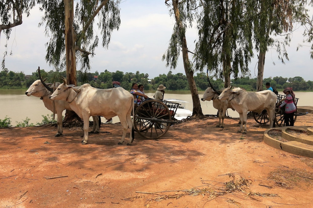 Phocea Cruise Phnom Penh to Siem Reap
