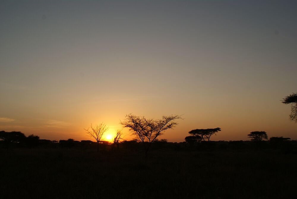 Ikoma tented Camp