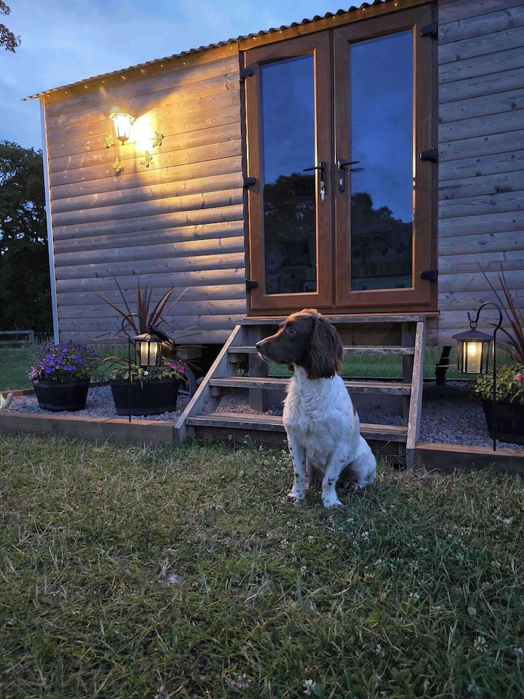 Woodend Hideaway Hamsterley - Sleeps 2 & Garden