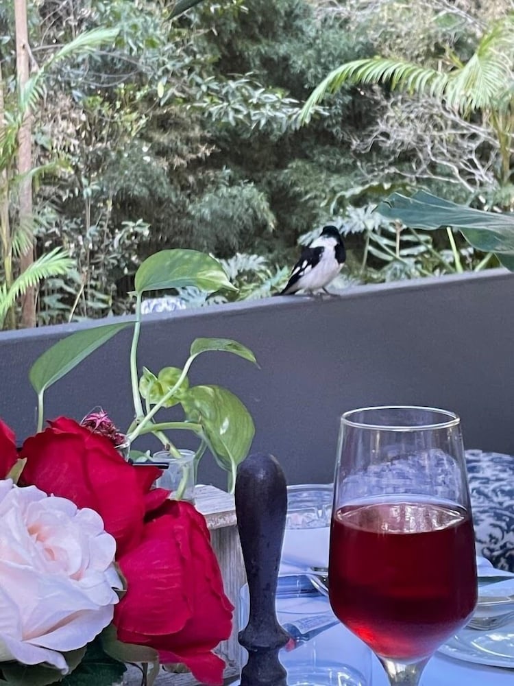 Songbirds Rainforest Retreat