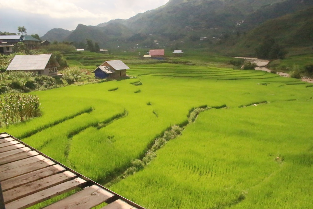 Sapa Terrace View Homestay - Hostel