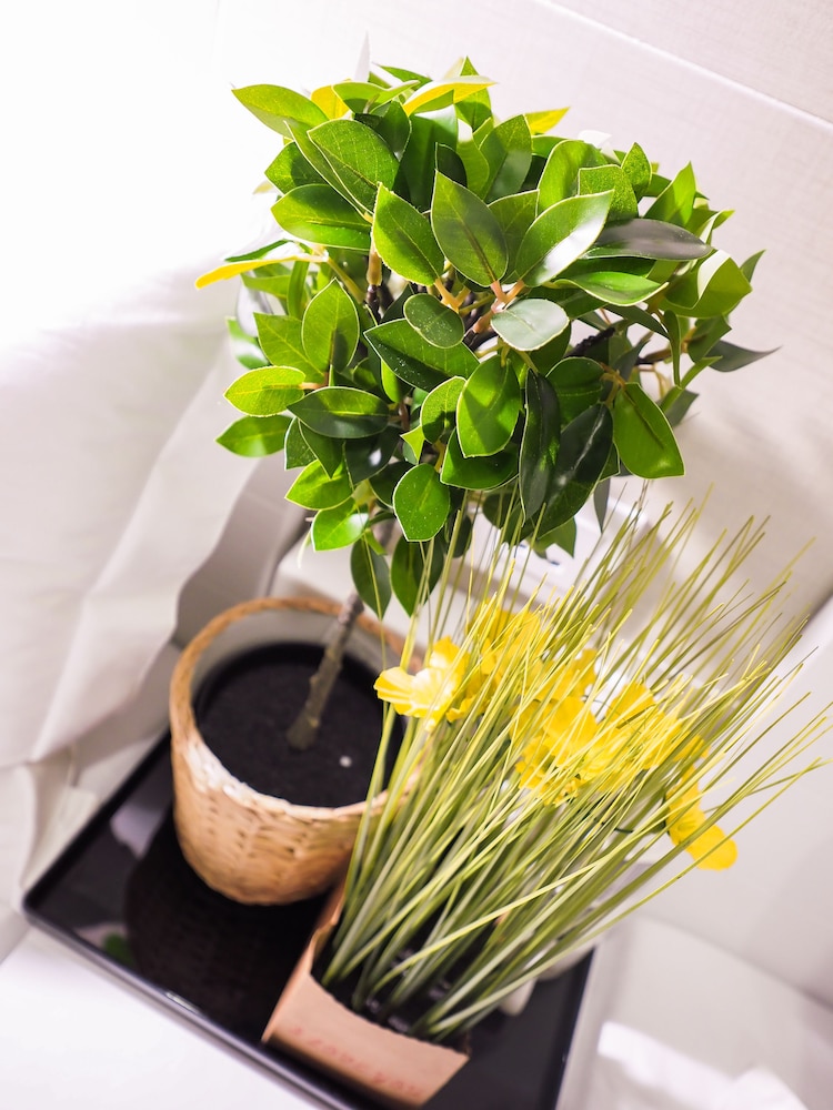 Comfort Guest House - Hostel