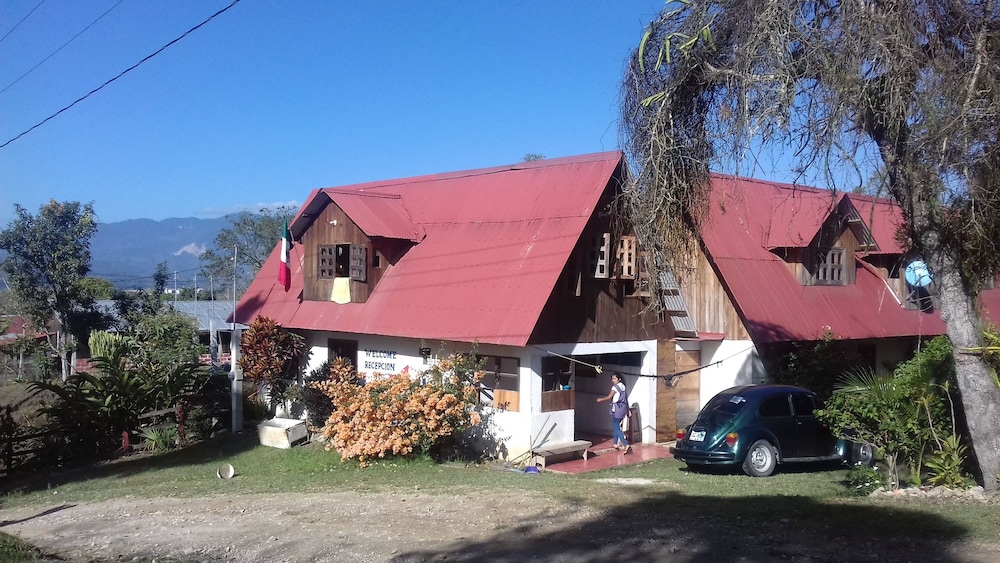 Photo 13