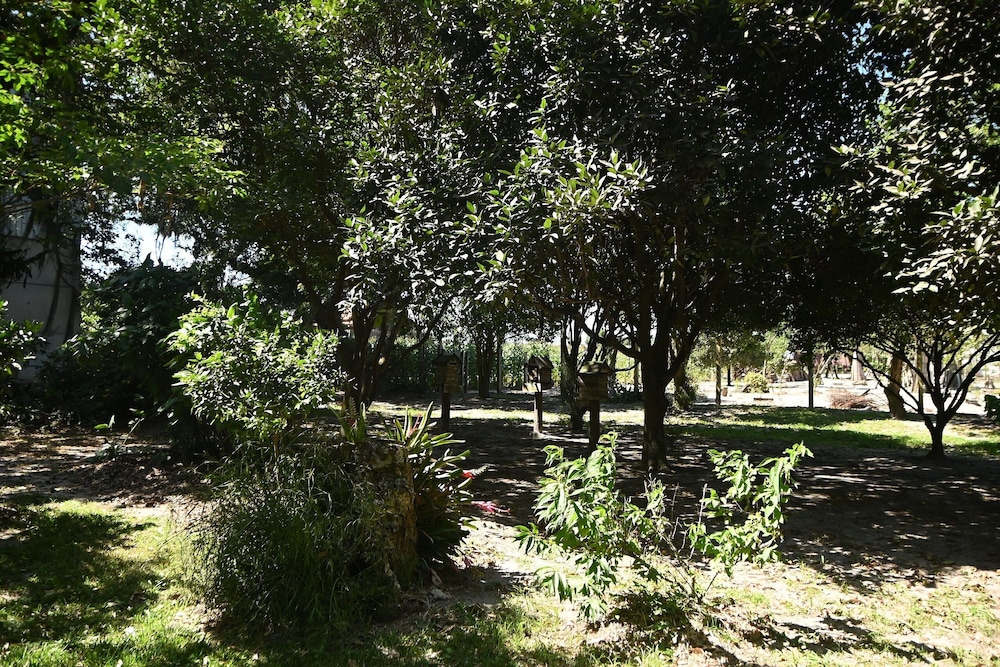 Sitio Simon - Imbituba/sc