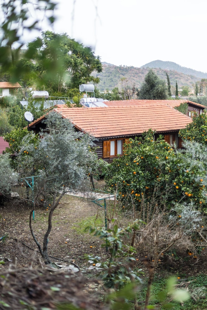 Tatil Evi Dilek Çıralı