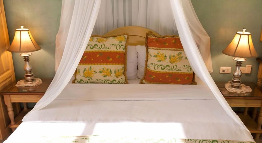 Avignon B&B