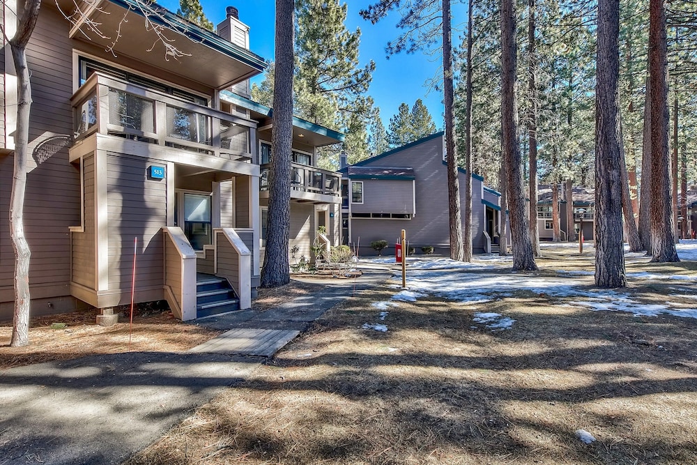 513 Pine Grove