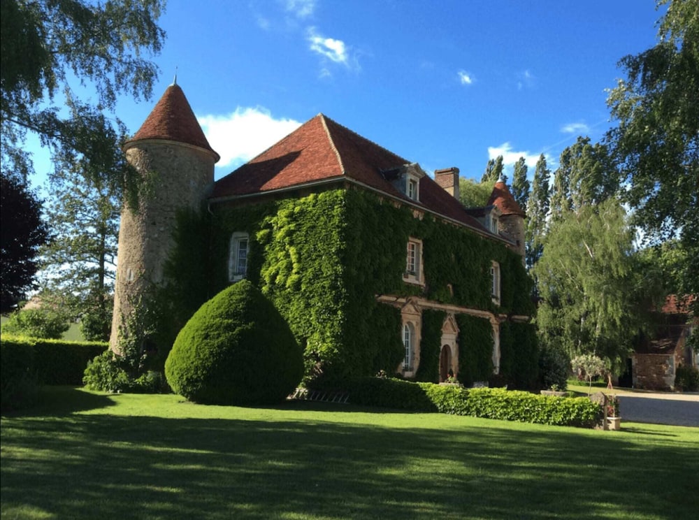 Château de Ribourdin view 4
