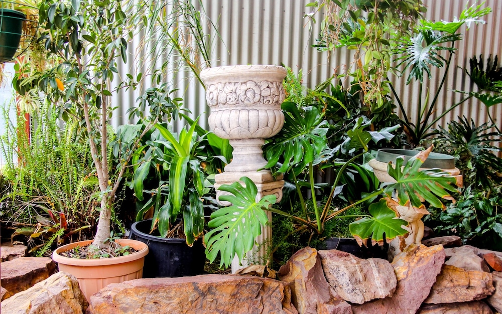 Pampas Motel - Property Image 22