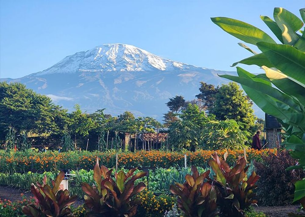 Kibo View Farm Lodge