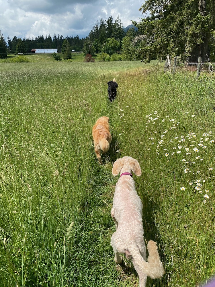 Montana Hill Guest Ranch