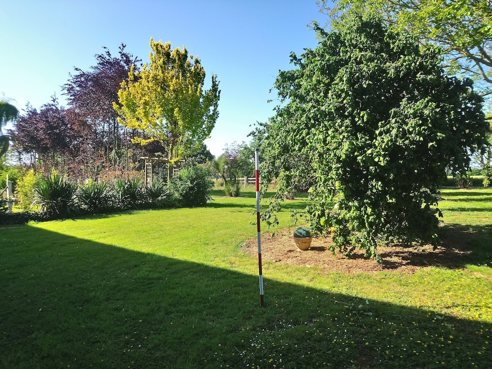Photo 41