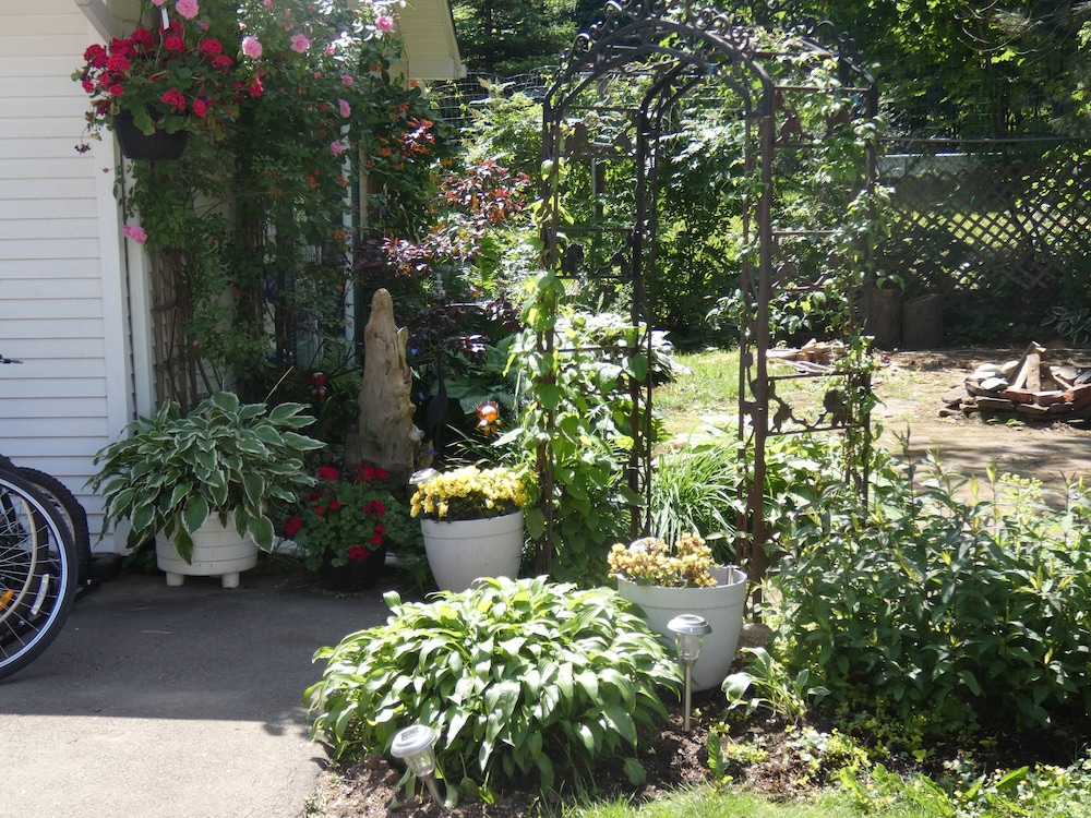 Photo 48
