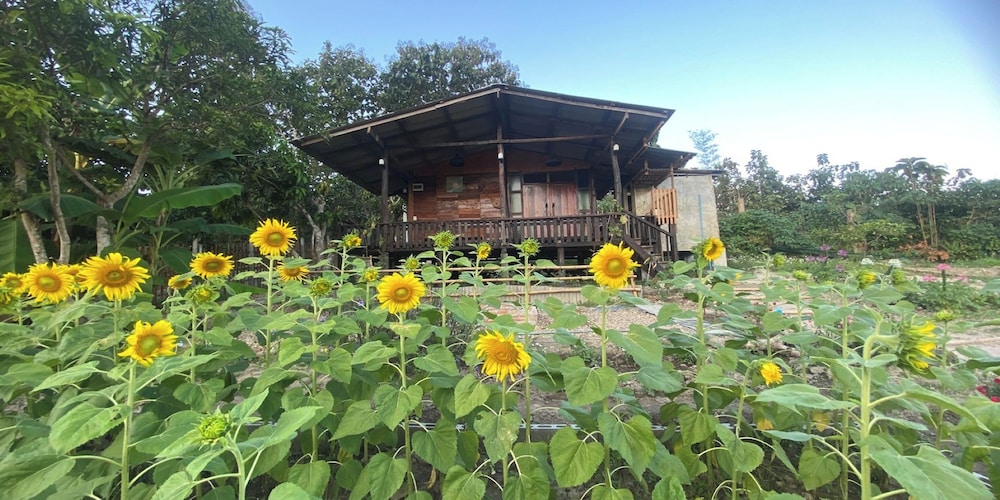 Nokkamin Home Chiang Dao view 4